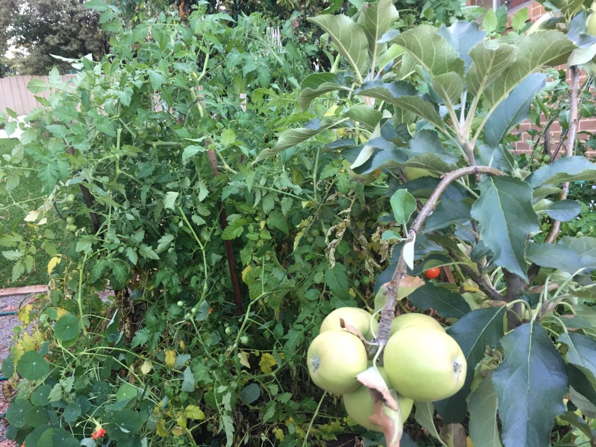 img_1758 Renew Health & Acupuncture Clinic